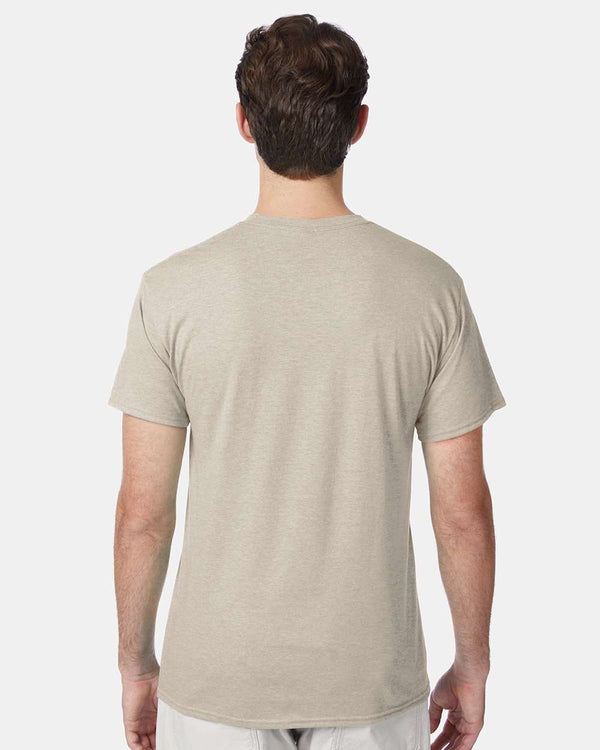 Hanes 42TB Sand Heather - Model back