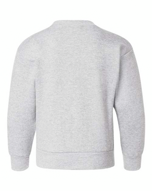 Hanes P360 Ash back