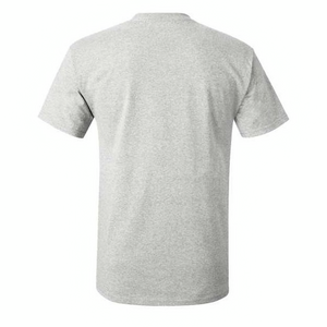 Hanes 5250 Ash back