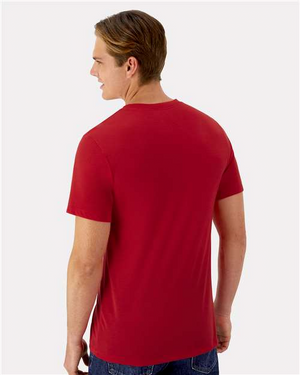 Hanes 4873 Athletic Red model back