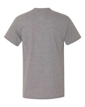 Gildan 5300 Graphite Heather back